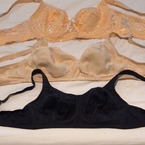 Elegant Lace Bra Trio - Black, Cream, Tan